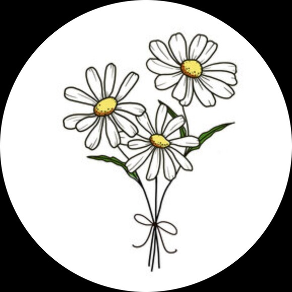 hc2593